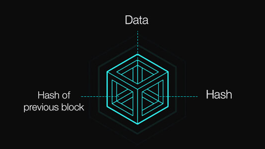 Components of a Block in a Blockchain