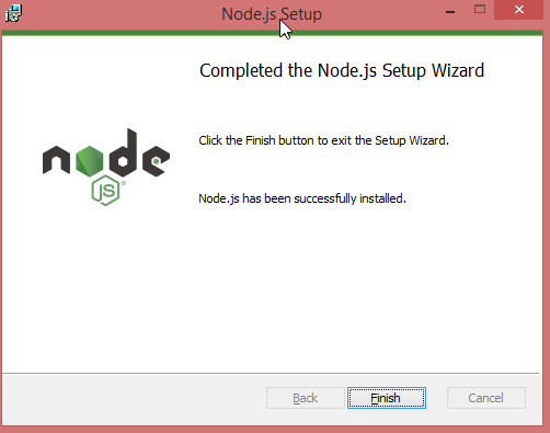 NodeJS Setup Completion