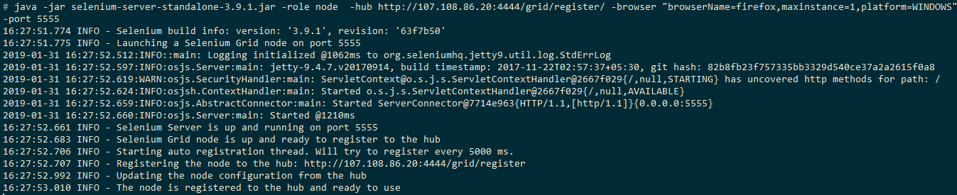 Selenium-Node-Output