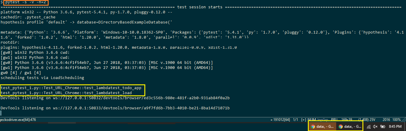 Selenium python test execution