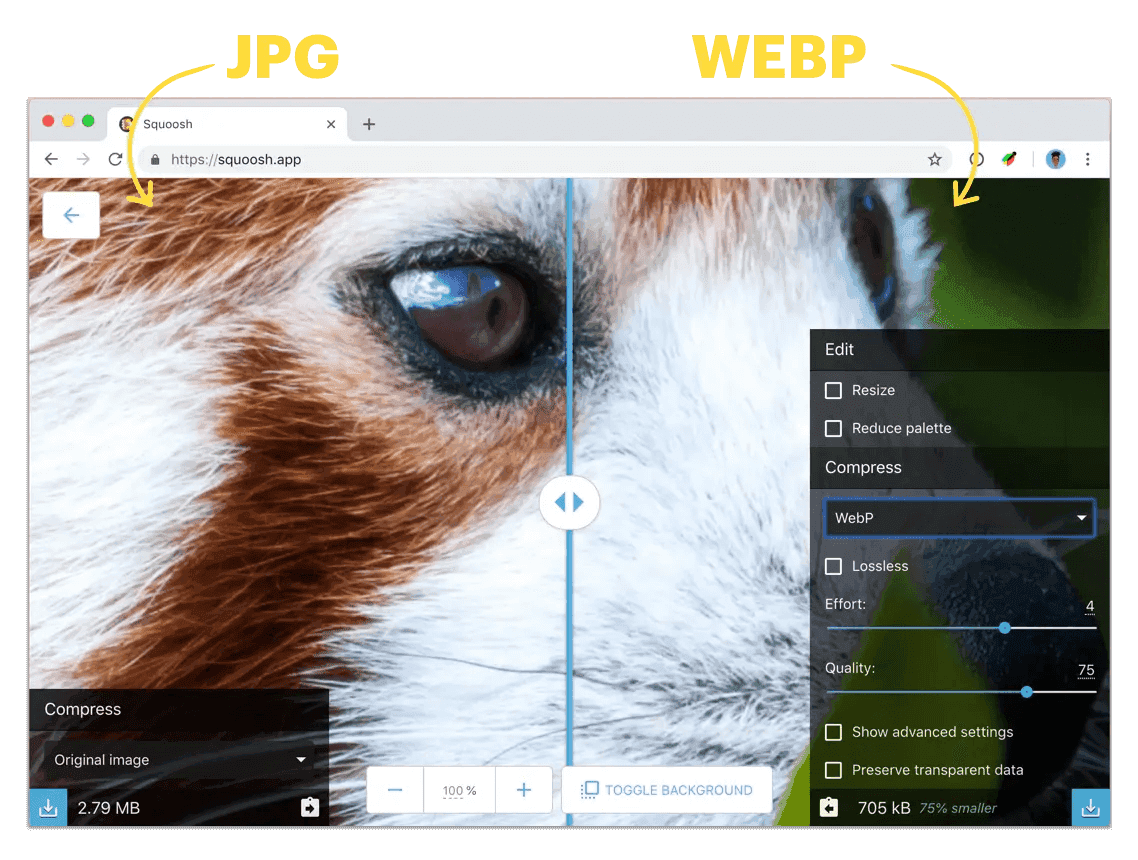 WebP & HDR Video Playback