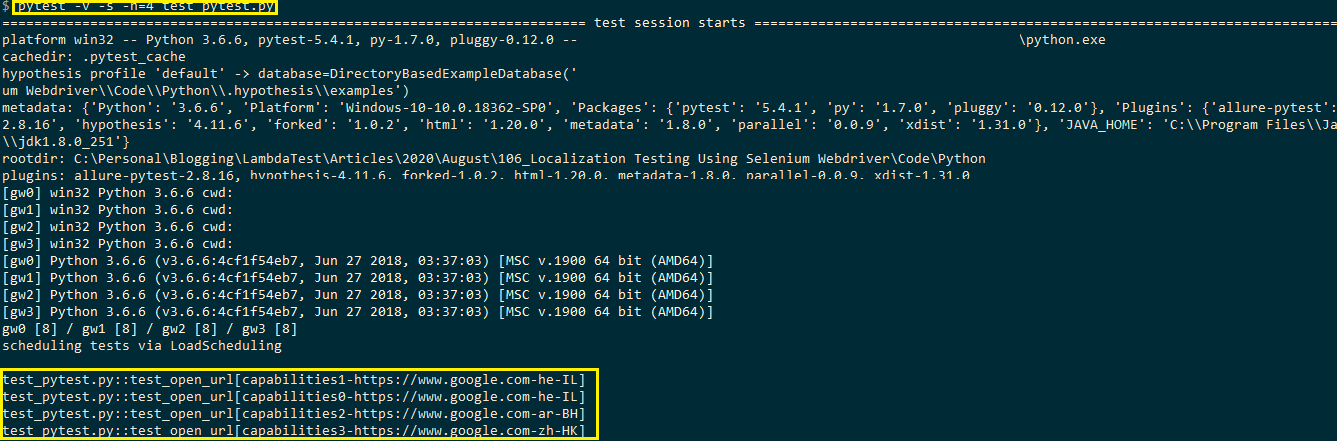 local test execution logs