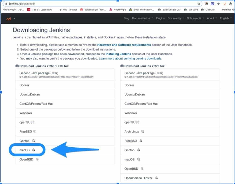 Jenkins Download Mac