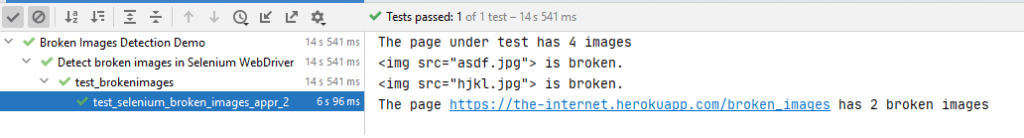 test execution snapshot