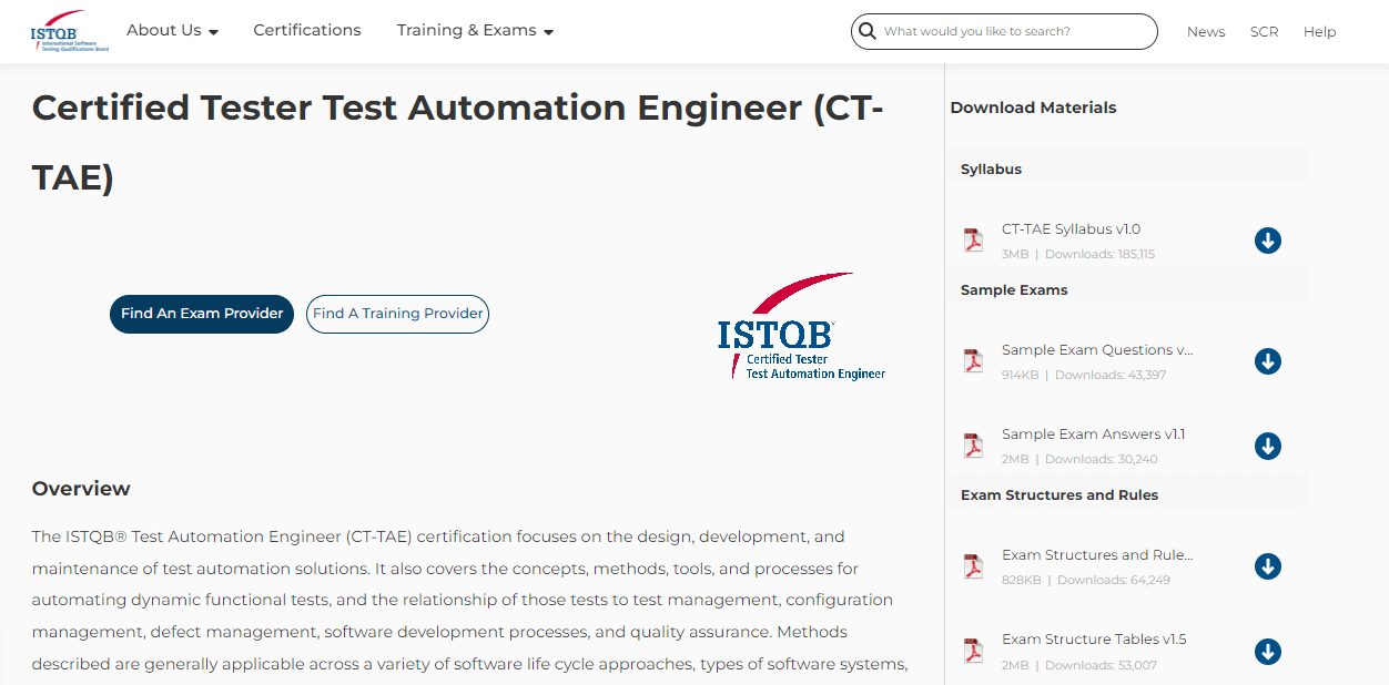 CT-TAE Valid Test Format