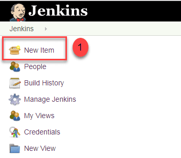 Using Jenkins to Trigger Rake Tasks