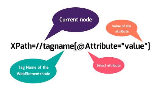 xpath for attribute name