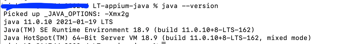 Java version