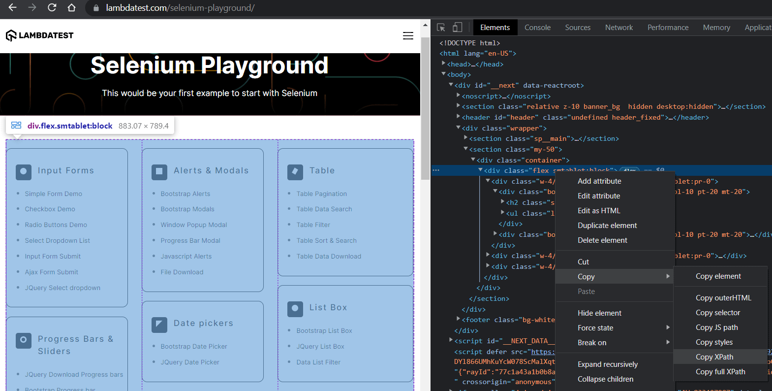 Selenium Playground devtool