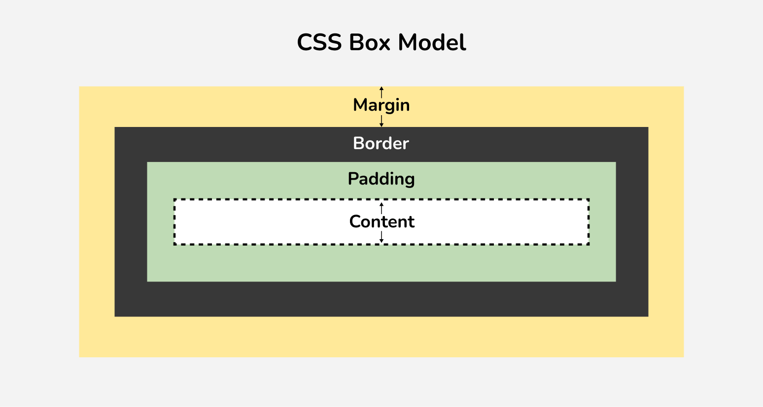 What are Margin and Padding Rules in CSS - CSS Reset