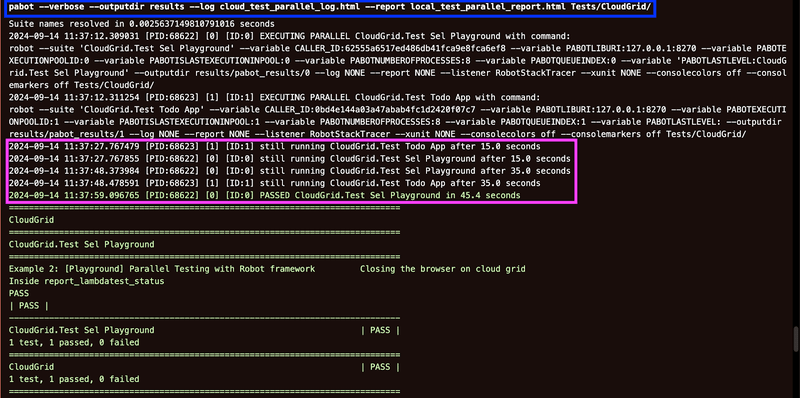 Parallel Test Execution