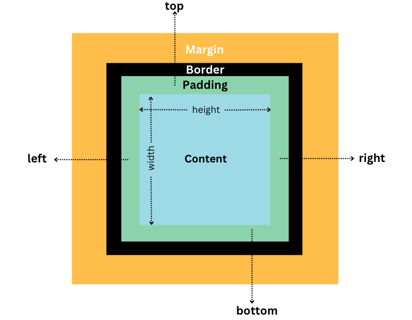 A Complete Guide To CSS Box Model