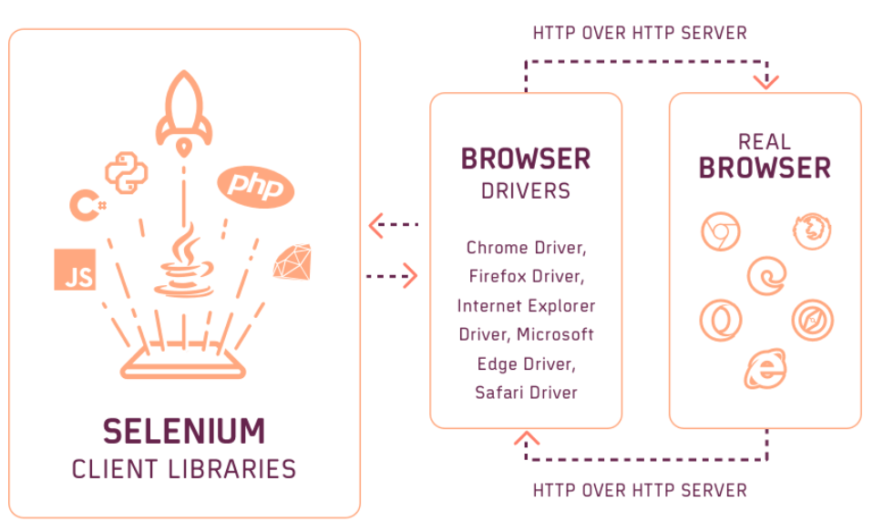 Selenium pages. Selenium автотесты. Selenium начало работы. Selenium: Selenium фреймворк. Selenium перевод.