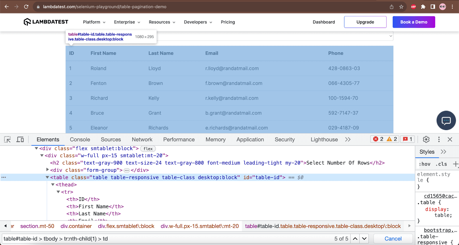 Table Pagination demo