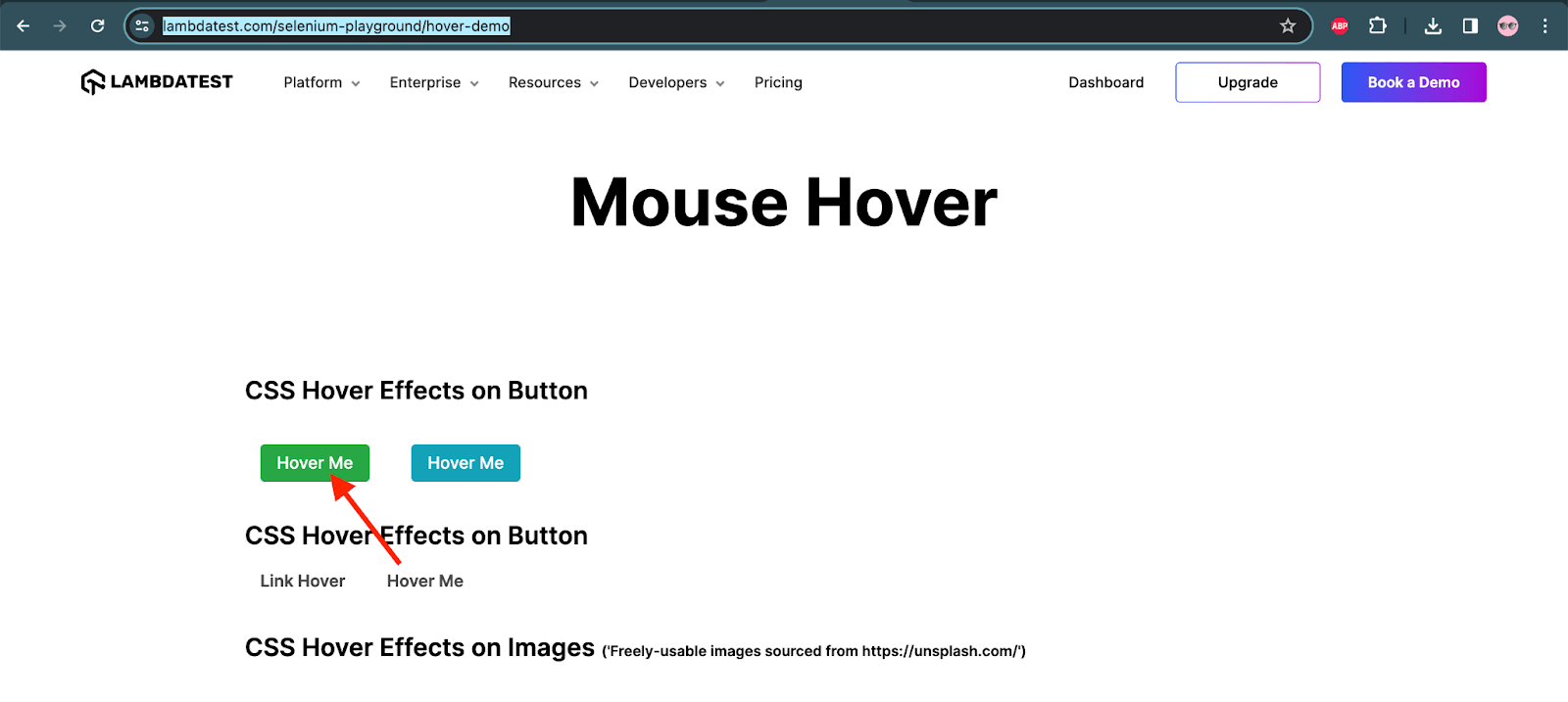 Mouse Hover page