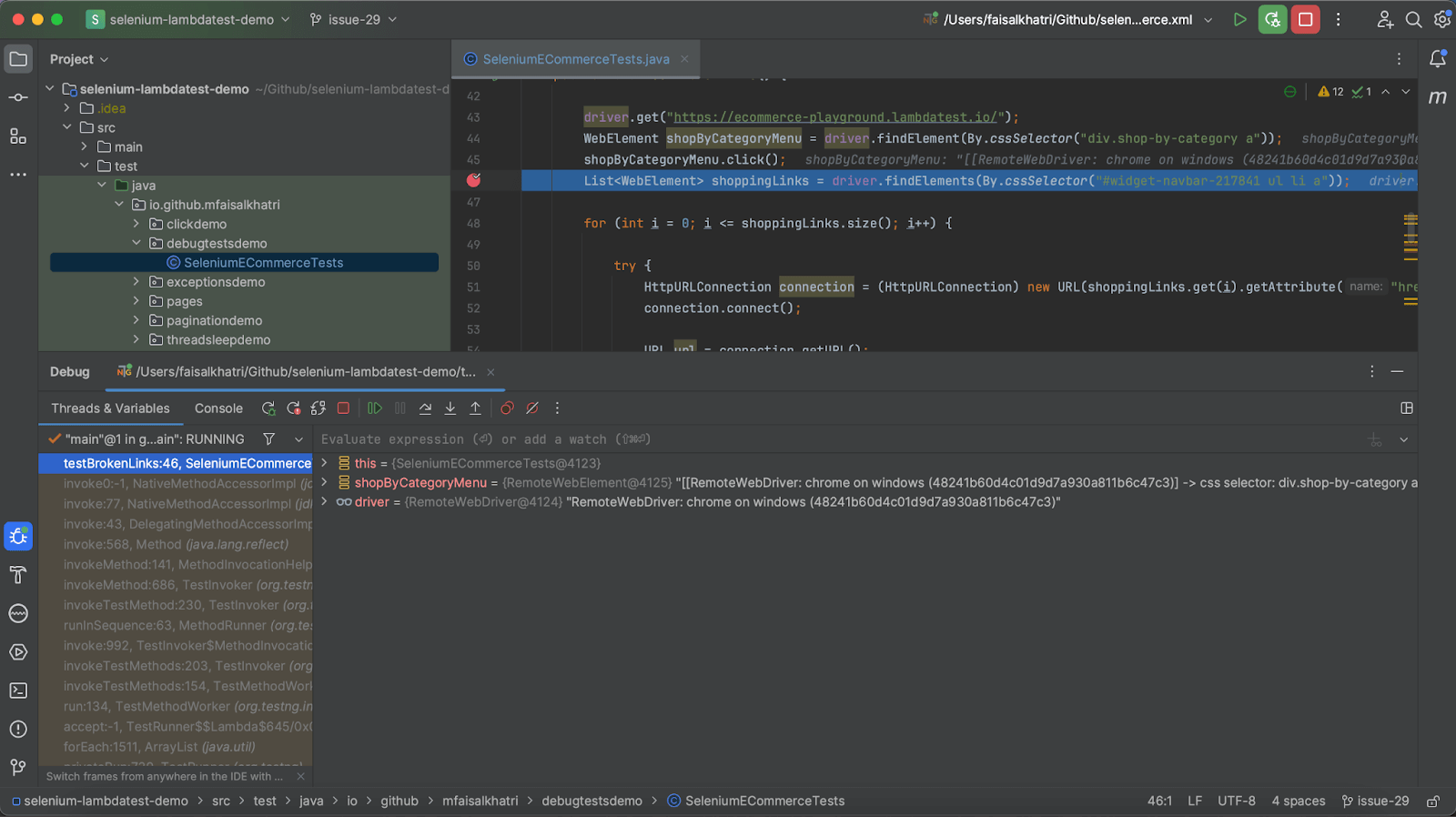"IntelliJ IDE: test execution, variables"