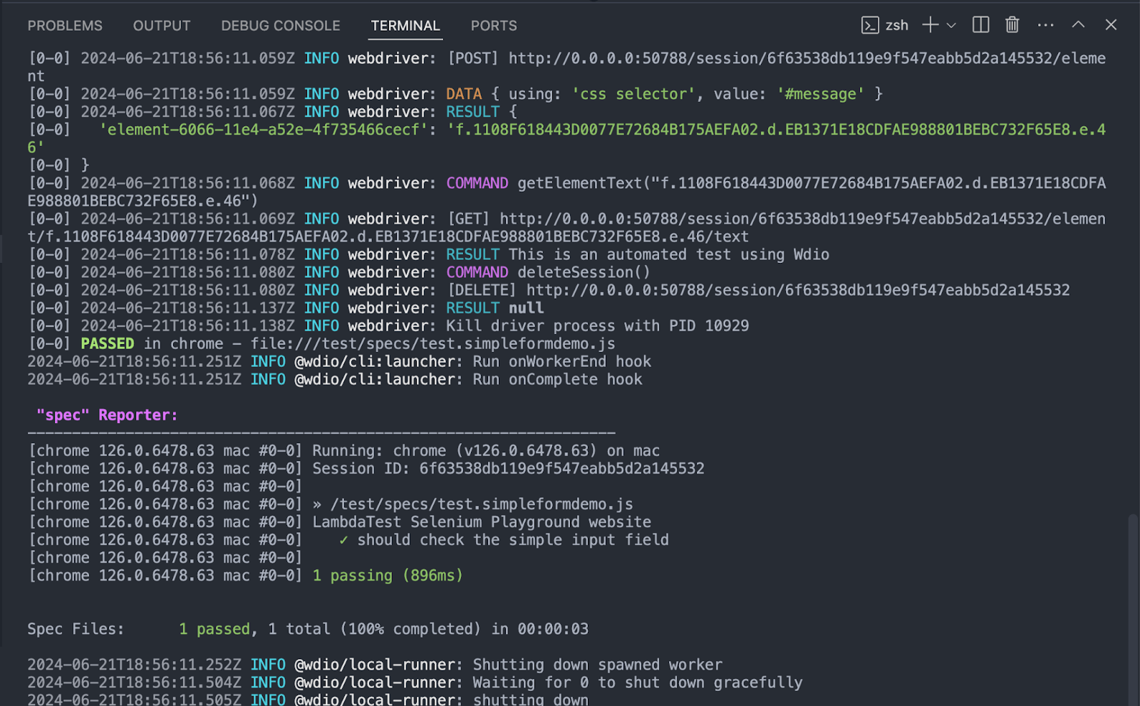 screenshot of the terminal shows that the test execution was successful