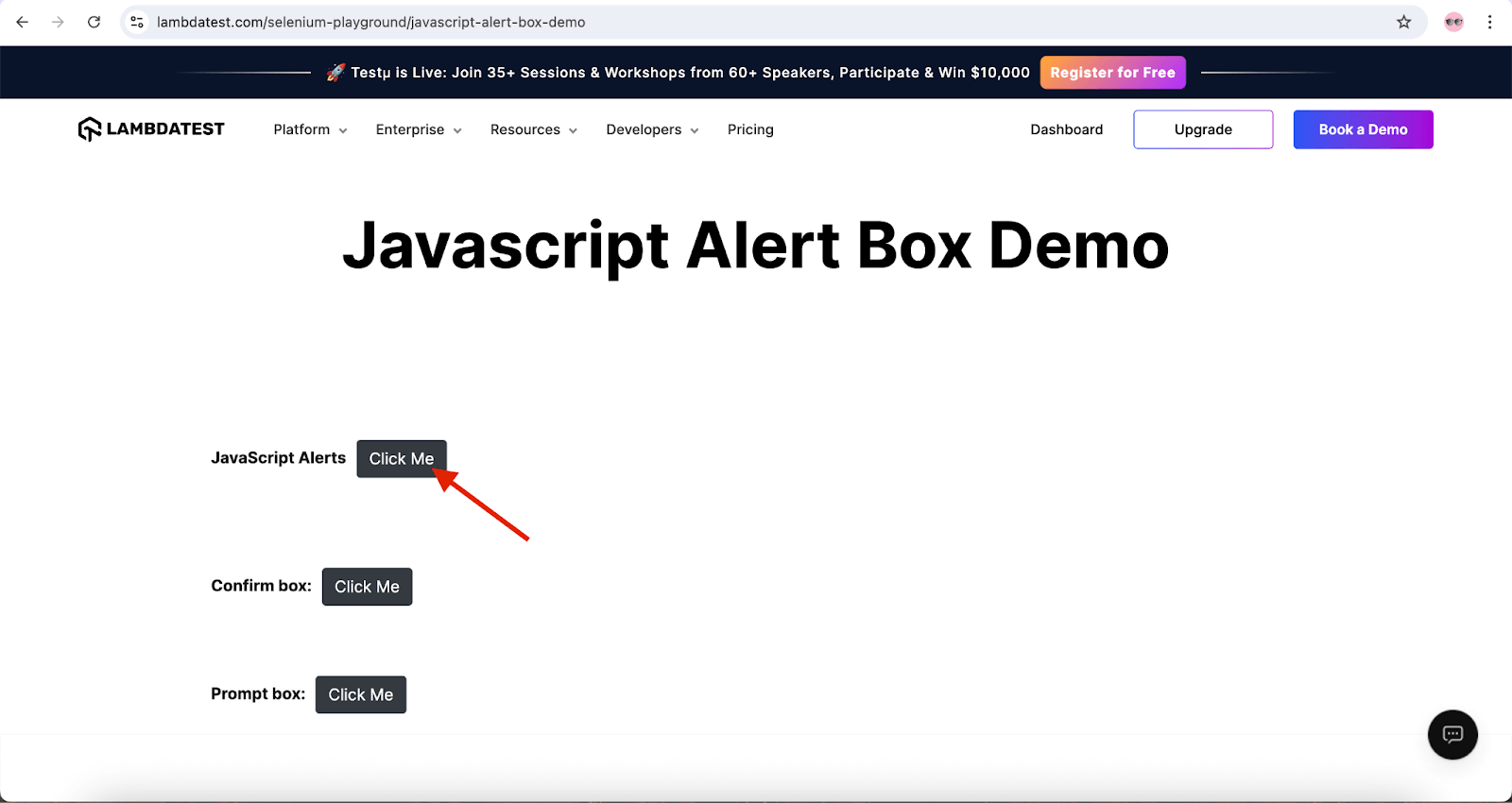 “JavaScript Alerts” text