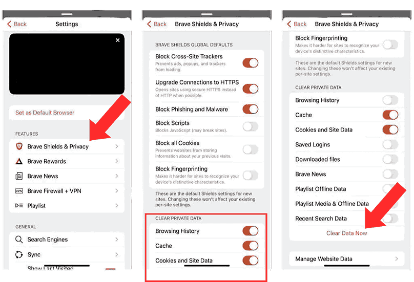 clear private data settings in brave browser on iphone