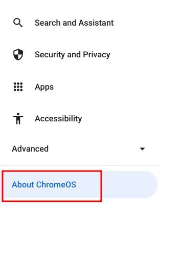 ChromeOS Manually1