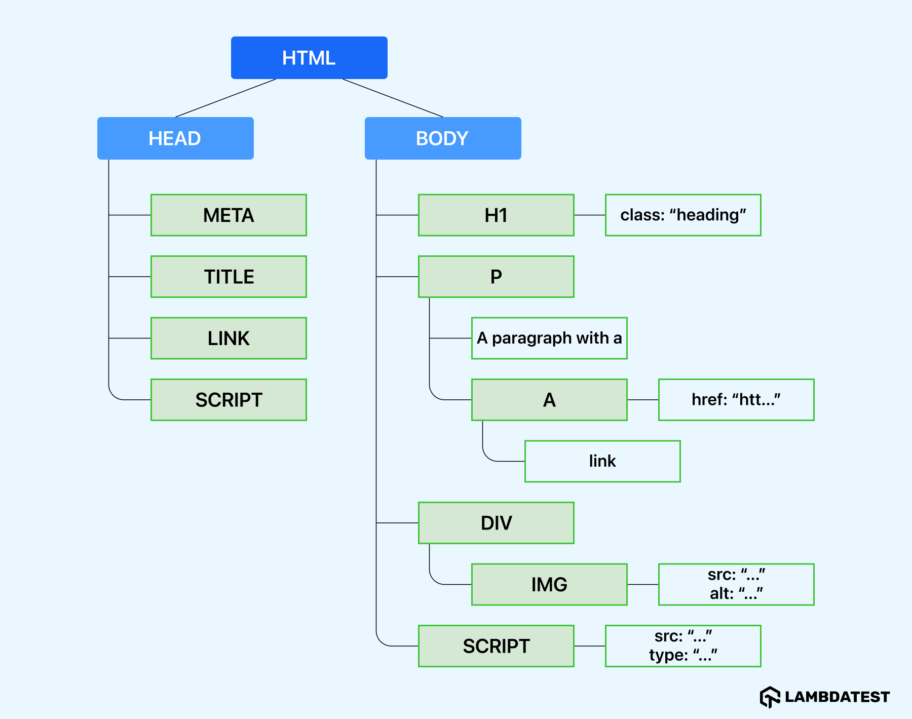  DOM Tree generated from the parsed HTML