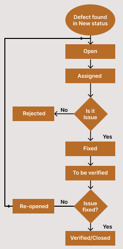 Defect management life cycle