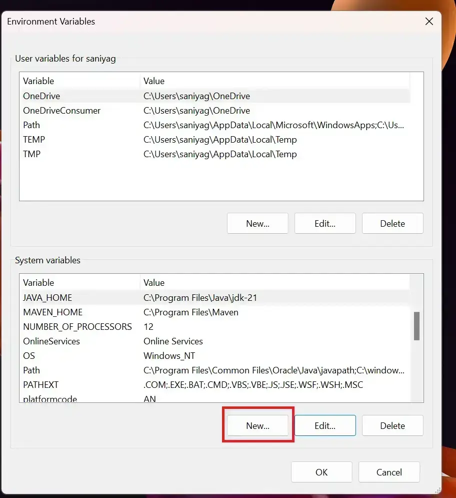 location of /bin to the environment variable PATH. To do so, click on New