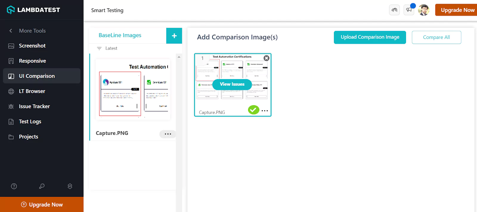 Step 7: To view your visual UI issues