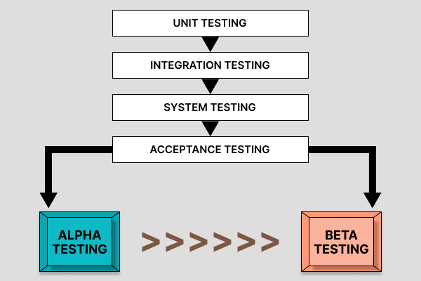 Perform Beta Testing