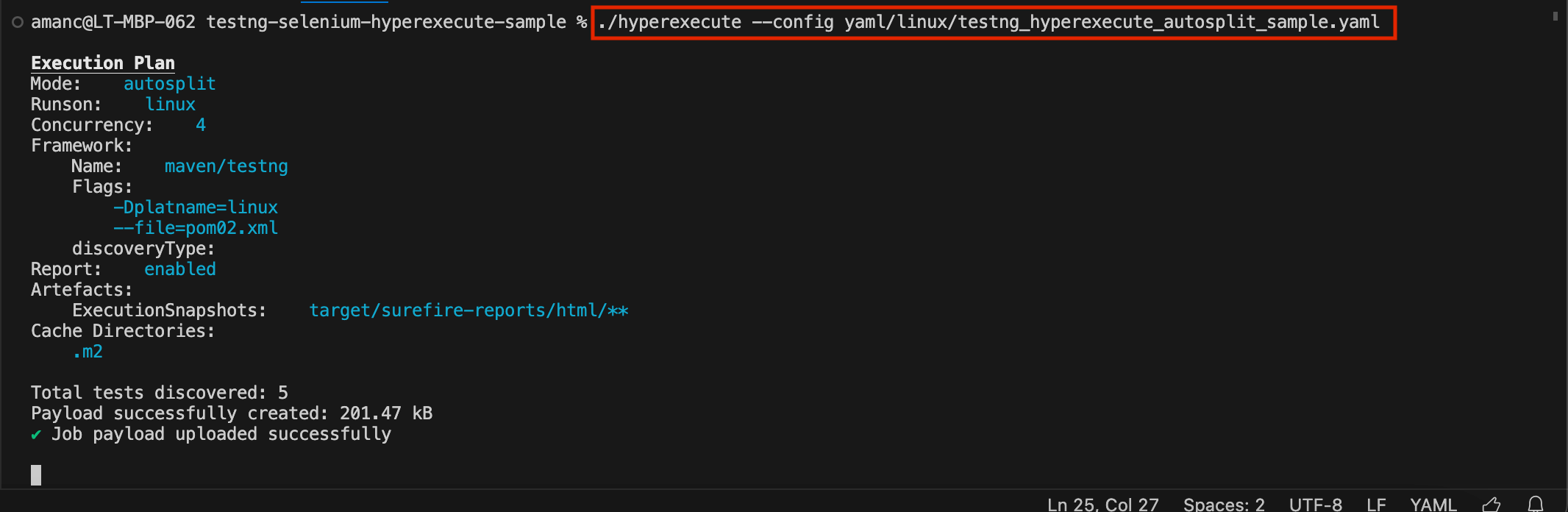 JUnit HyperExecute Terminal Logs