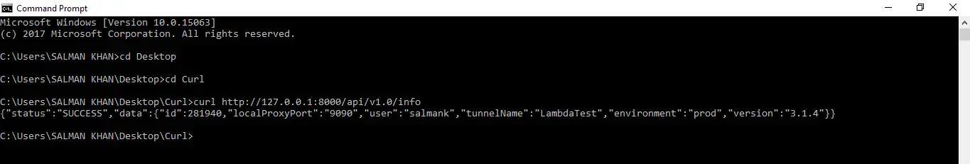 Advanced LambdaTest Tunnel